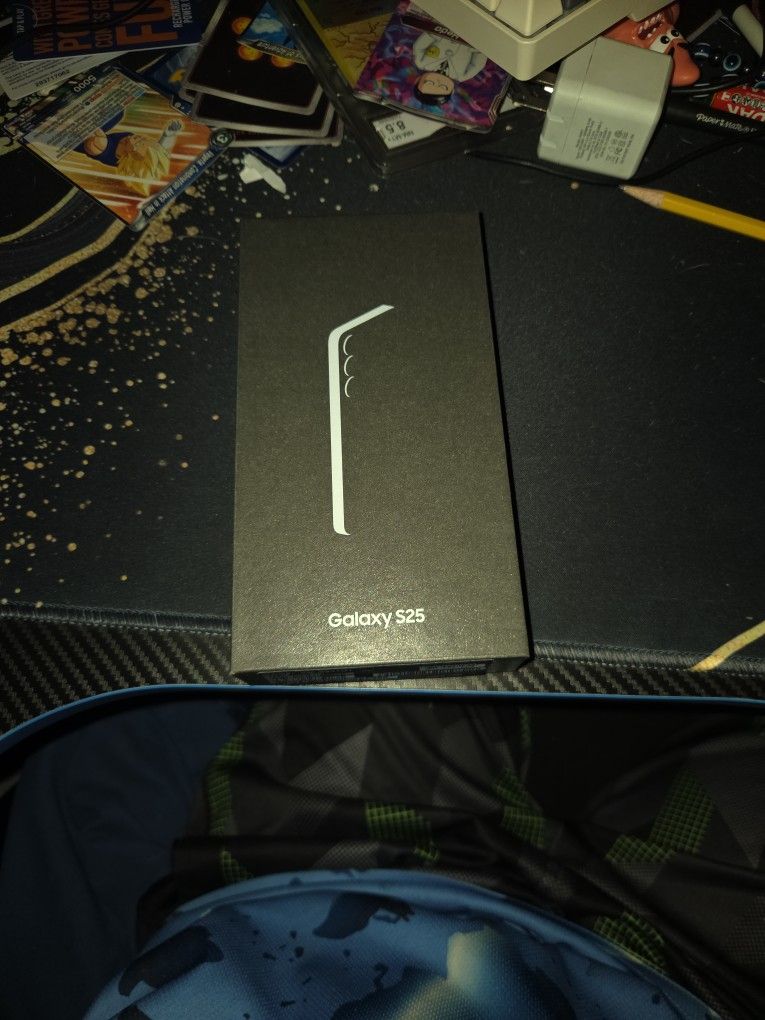 Samsung Galaxy S25