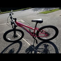 Schwinn Youth Mountain Bike