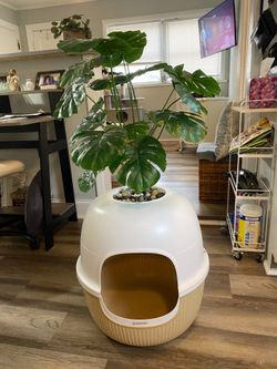 LG PLANT CAT BOX