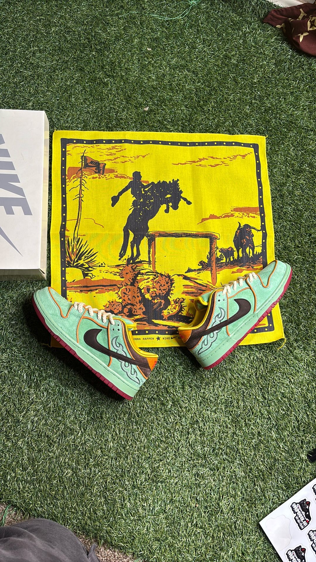 Nike Sb