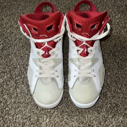 Jordan Retro 6s (Alternate Hare)