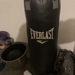 Punching Bag 