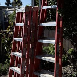 3 Louisville Ladders