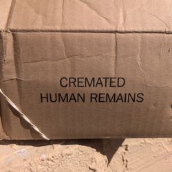 Cremated Human Remains