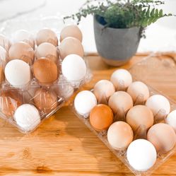 Organic Fresh Eggs