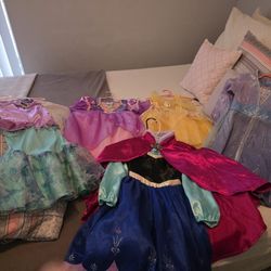 Disney Princess Dresses 