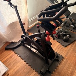 Bowflex C6 Indoor Bike