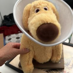 Doug Dog From UP