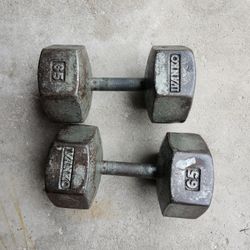 65 Lbs Ivanko Dumbbells