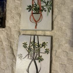 Plant paintings
