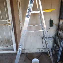 Ladder