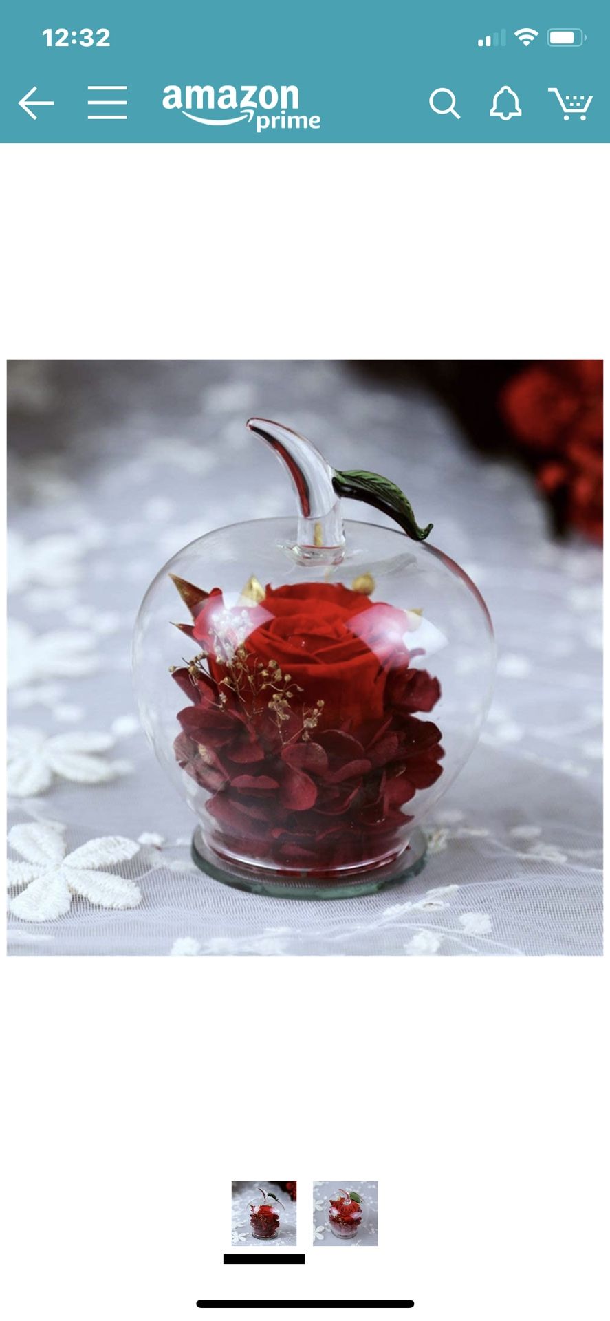 Never Withered Flower Handmade Preserved Flowers Rose Decor With Apple-shaped Glass Best Gift For Valentine's Day Mother's Day Birthday Thanksgiving