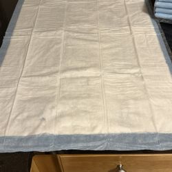 DISPOSABLE PADS/Blue Color