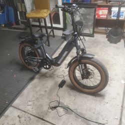 Electric Bicycle 48v