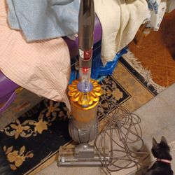 Dyson Vaccum