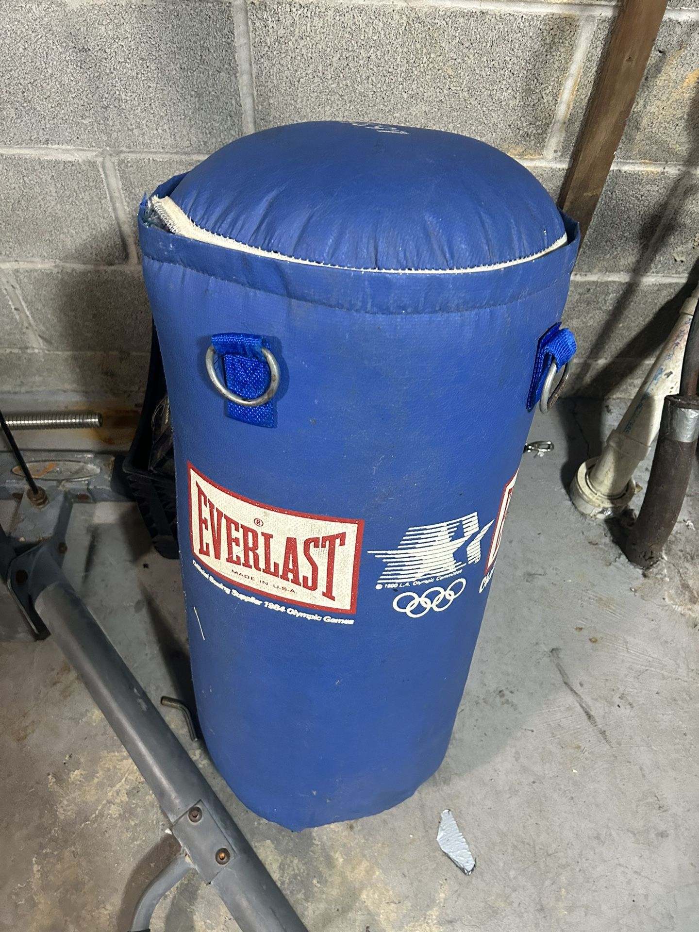 Everlast Punching Bag