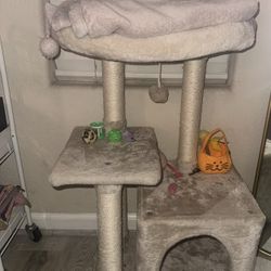 Cat Tower