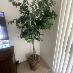 Fake Indoor Tree 6ft Tall 