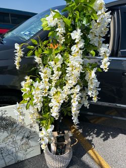 Arbolito Decoracion