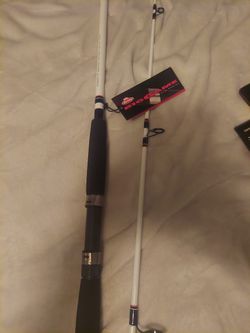 New Berkley Fishing Rod
