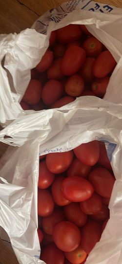 Bags of tomatoes