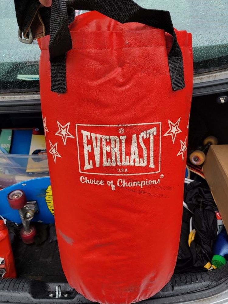 40lb Everlast Punching Bag