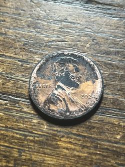 2024 D 🛡️ Penny