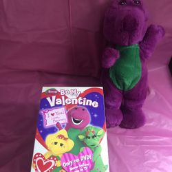 Barney Lot DVD And Stuff Animal
