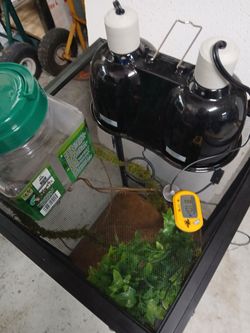 Chameleon cage