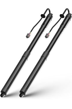 Pair 2013-2019 Hyundai Santa Fe Trunk Lift Support Struts 81771B8100