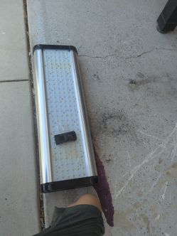 LED grow light