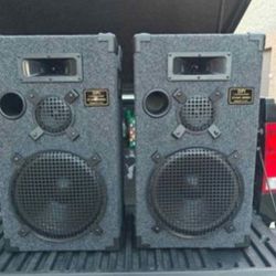 New Goldwood DPI-1200C/8 Passive 12" Speaker Pair 3-Way. Retails for $239 online.