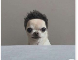 Conair Hair Cutting Machine