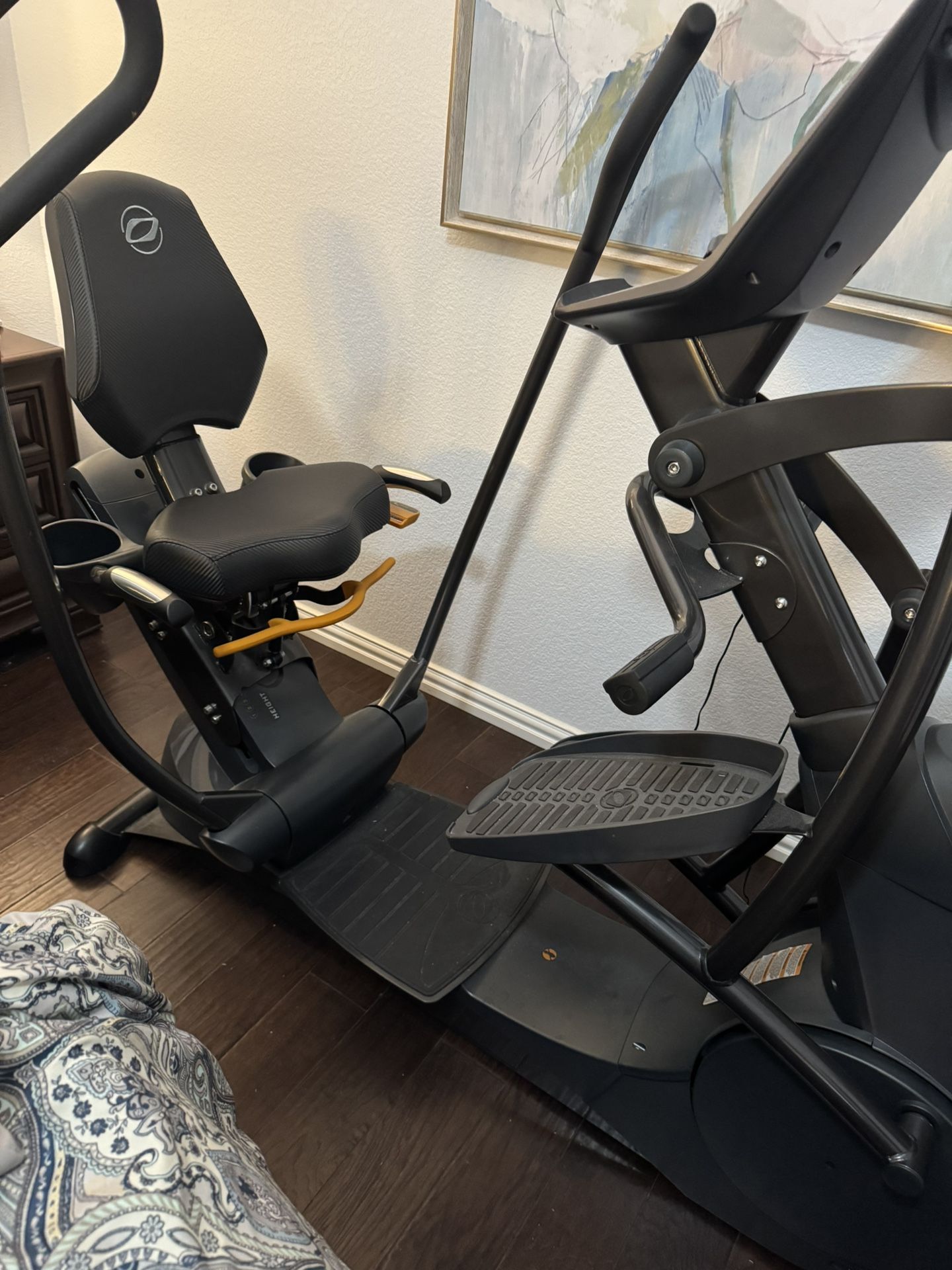 Elliptical Bike