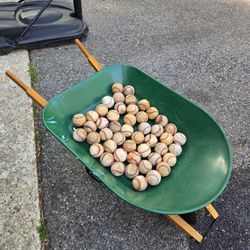 48 Baseballs (Bucket Included)