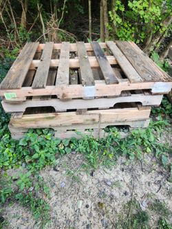 Wooden Pallets