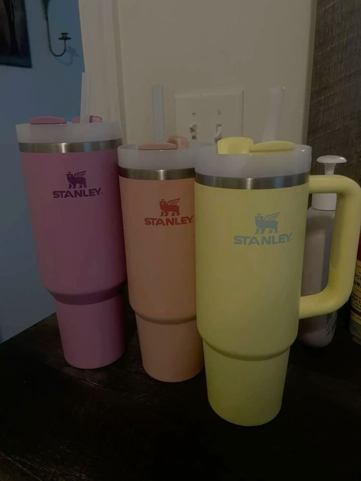 Stanley Cups Brand New Never Used Come with Straws!