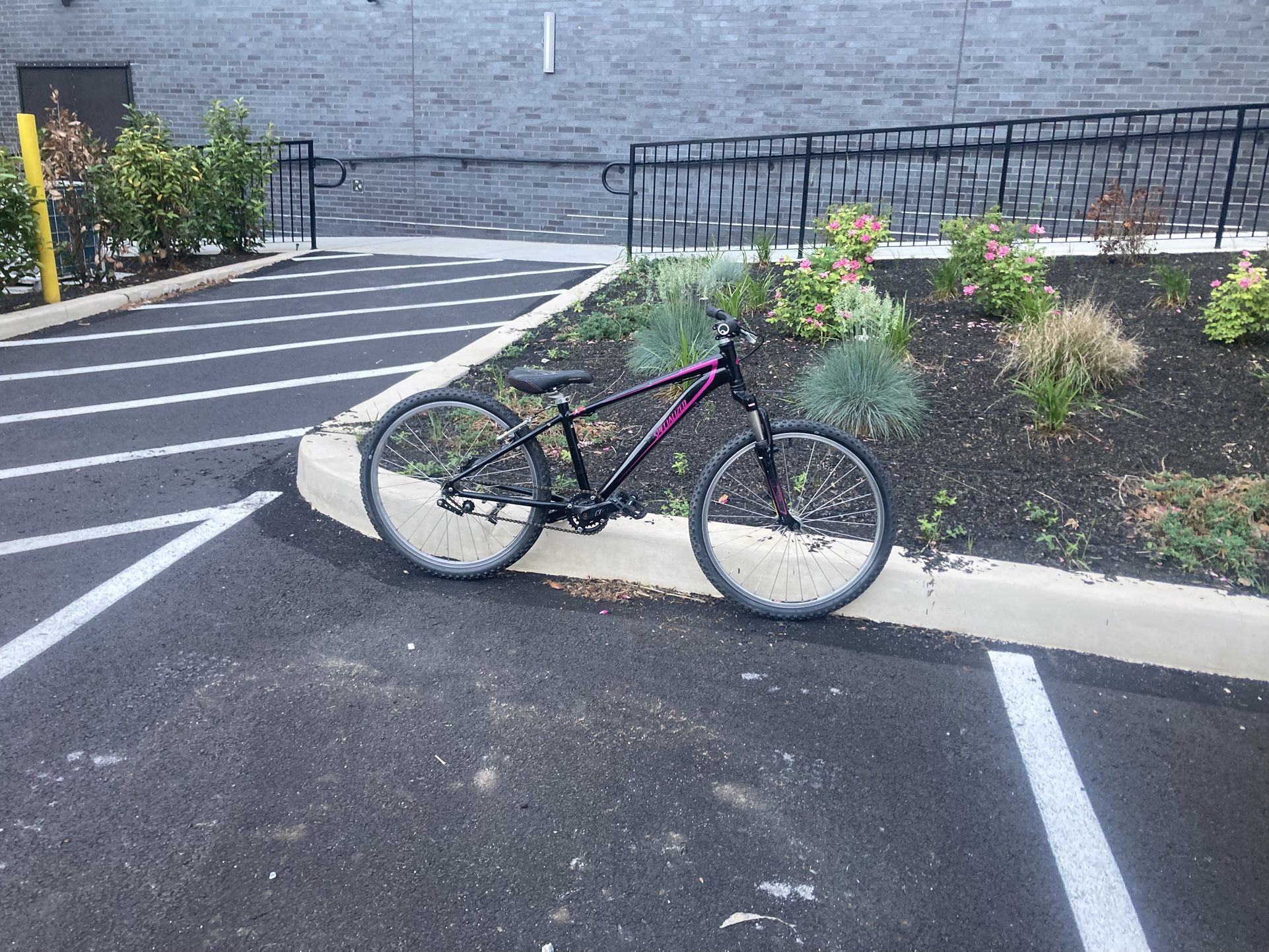 Dirt Jumper