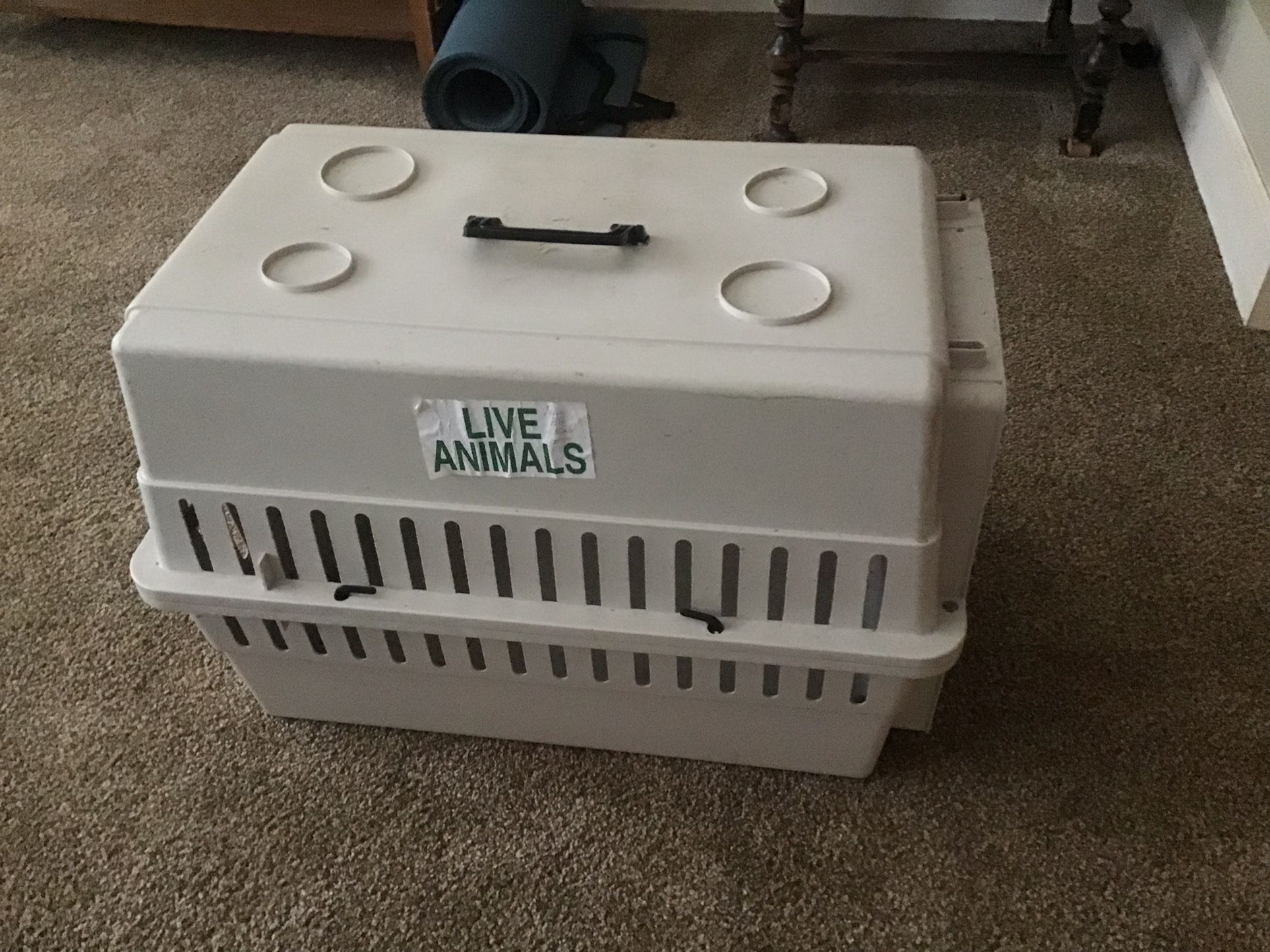  Small Dog Or Cat Kennel Crate