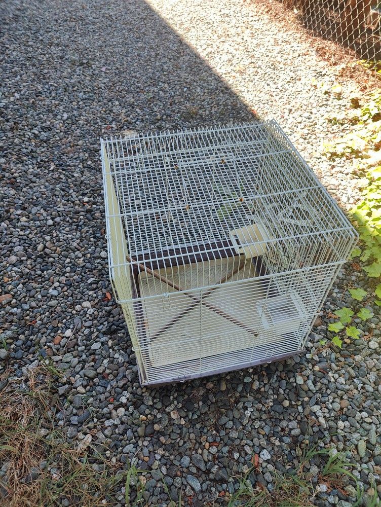 Bird Cage