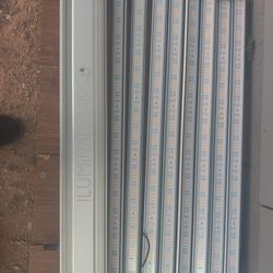 Iluminar ilogic 8. Farm-grow