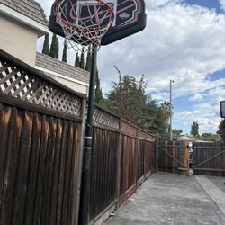 Lifetime Portable Basketball Hoop