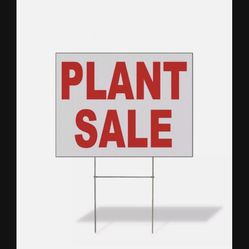 BIG PLANT SALE IN LARGO ON SATURDAY GOOD PRICES 