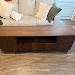 Mid Century modern  Entertainment center/ TV stand.