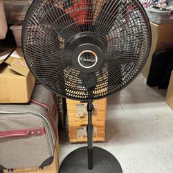Fan 