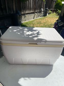 Igloo 48 QT Laguna Hard Sided Ice Chest