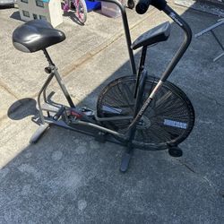 Schwinn Airdyne Bike