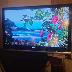 55 inch Sony TV with hanging bracket