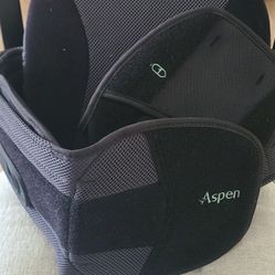 NEW Back Brace