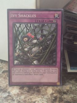 IVY Shackles